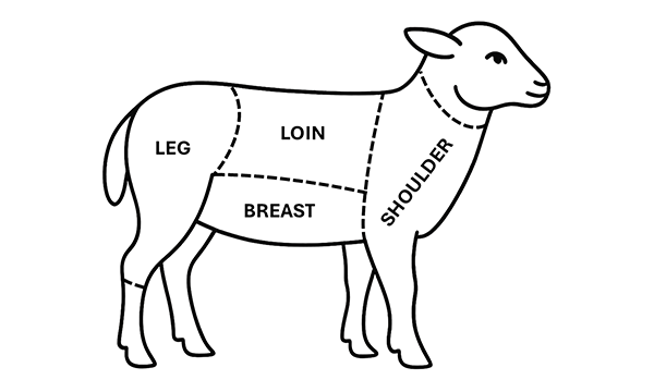 line diagram of lamb butchery joints